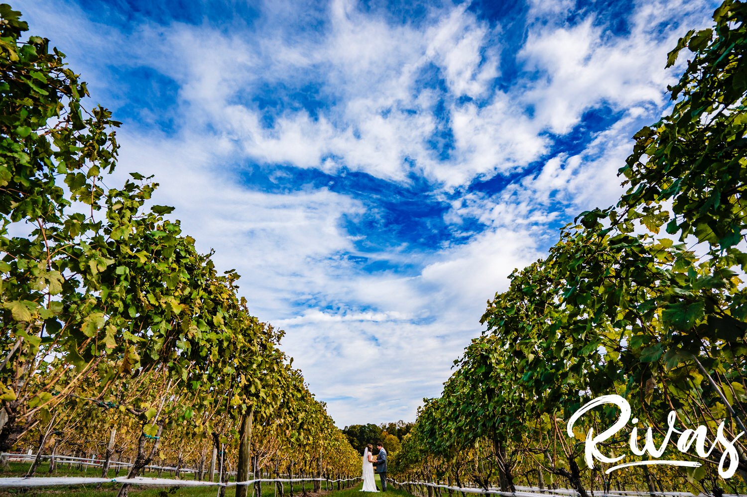 A very colorful, very distant picture of a bride and groom leaning in to share an embrace as they stand in the middle of a vineyard with clouds rolling across the bright blue sky on the afternoon of their fall wedding day at The Barns at Hamilton Station Vineyard. 