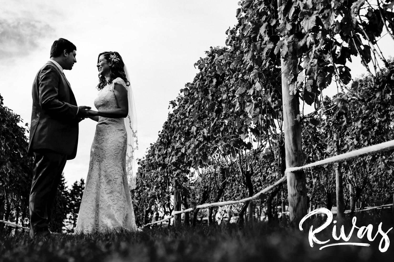 A candid black and white picture taken from the ground up of a bride and groom holding hands and smiling at each other in the middle of a vineyard during their first look on their wedding day at The Barns at Hamilton Station Vineyard. 