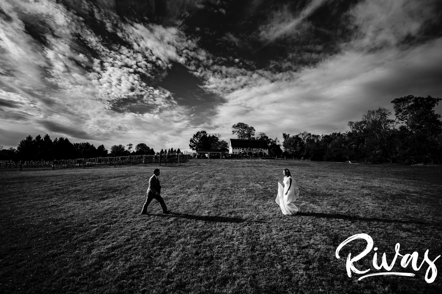 A dramatic, wide, black and white picture of a bride and groom running towards each other across a field on their fall wedding day at The Barns at Hamilton Station Vineyard. 