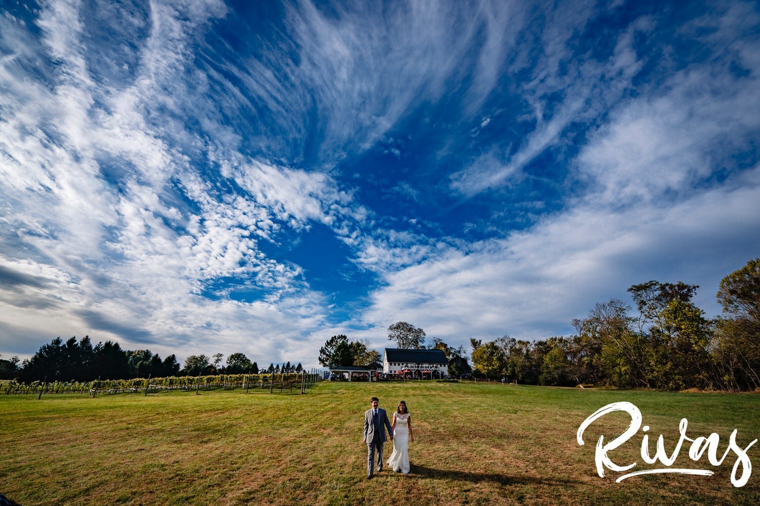 A colorful, wide picture of a bride and groom holding hands walking across a large field on their wedding day at The Barns at Hamilton Station Vineyard. 
