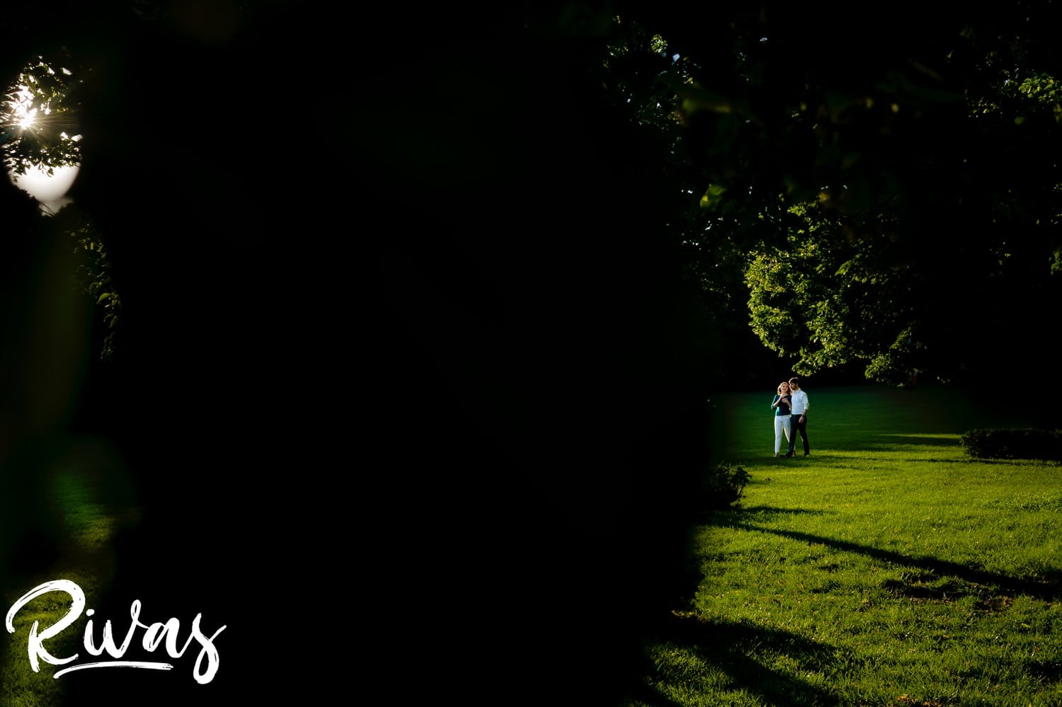 A very wide portrait taken from underneath a tree branch of an engaged couple walking hand-in-hand across the lawn of The Nelson Atkins Museum of Art during their Kansas City engagement session. 