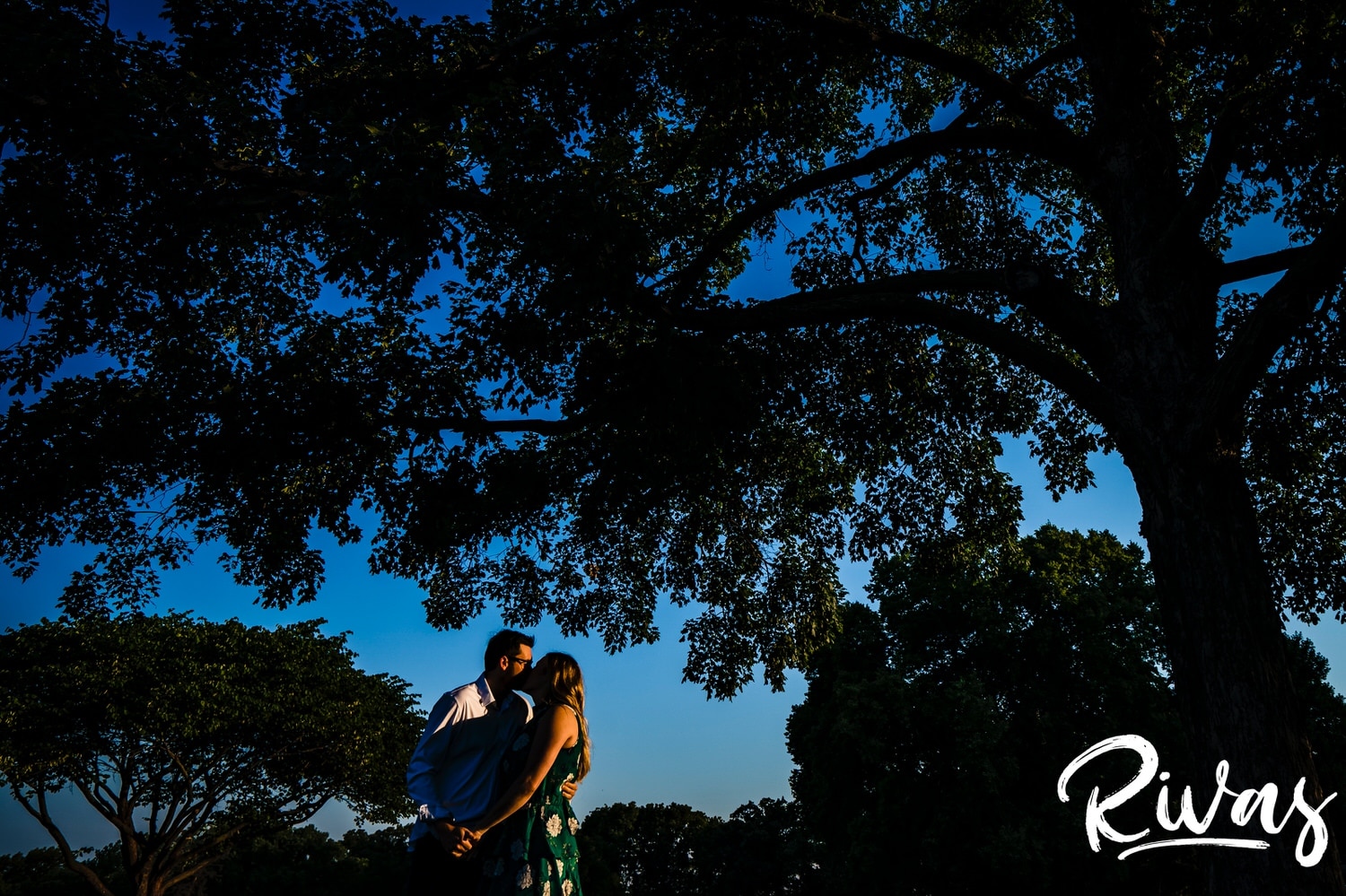 A vibrant portrait of an engaged couple sharing a kiss as they stand underneath a canopy of a tree during their summer engagement session with their wedding photographer in Kansas City. 