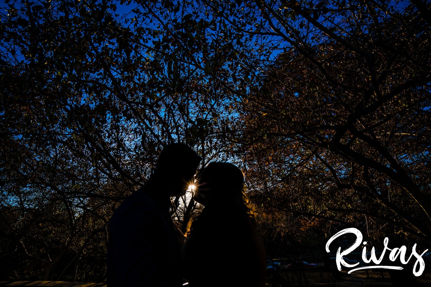 A sunlit silhouette of a bride and groom leaning in to share a kiss underneath a canopy of trees on the afternoon of their fall wedding reception at The Foundation Event Space in Kansas City. 