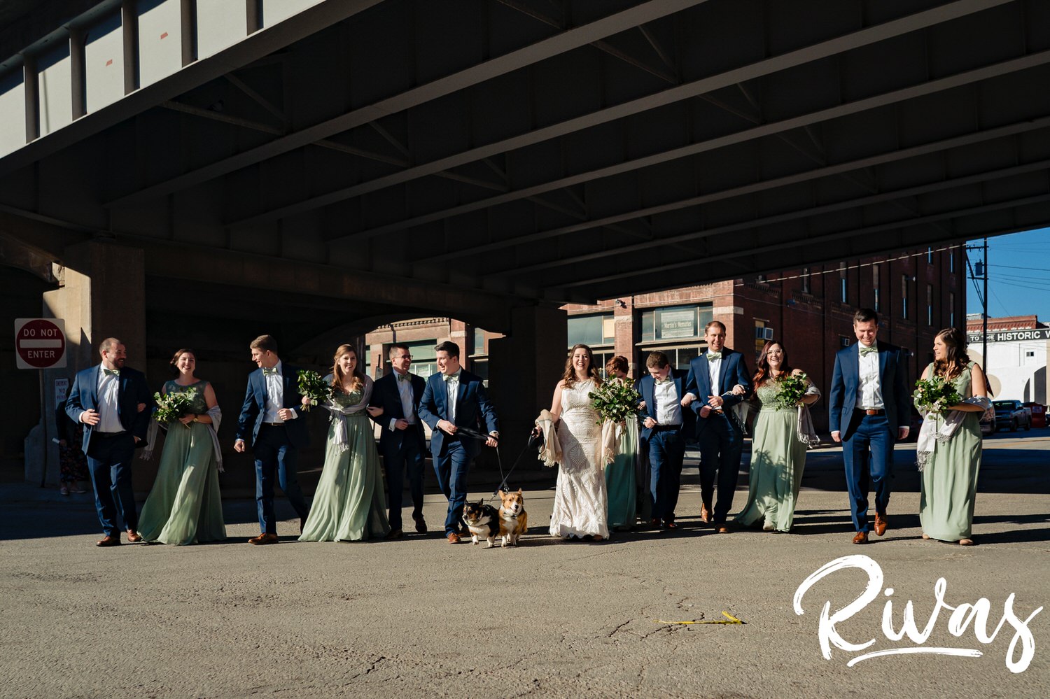 A wide, candid picture of a wedding party, including two corgis, walking across the street on a fall wedding day in Kansas City. 