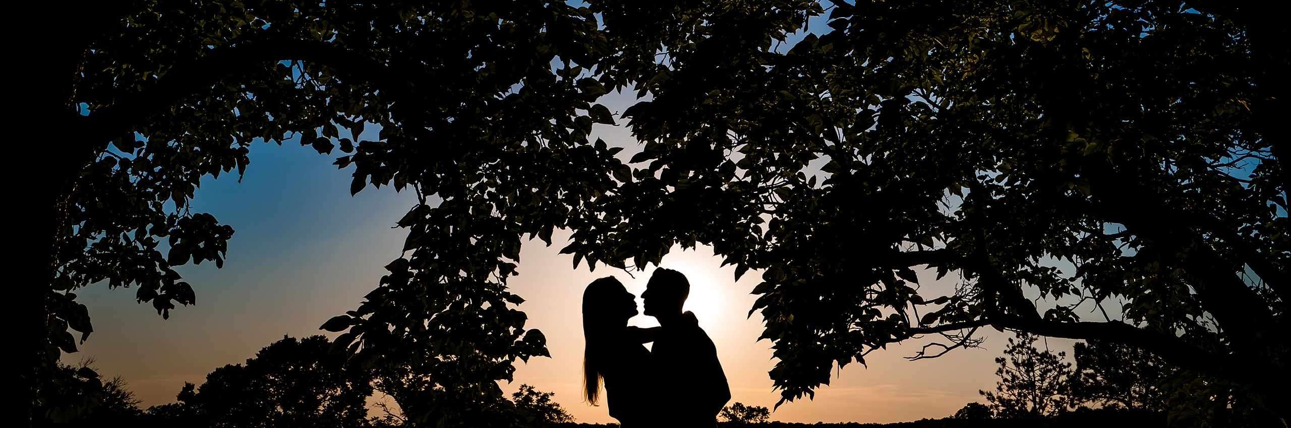 A colorful silhouetted image of a couple leaning in to share a kiss at sunset, a canopy of trees surrounding them.