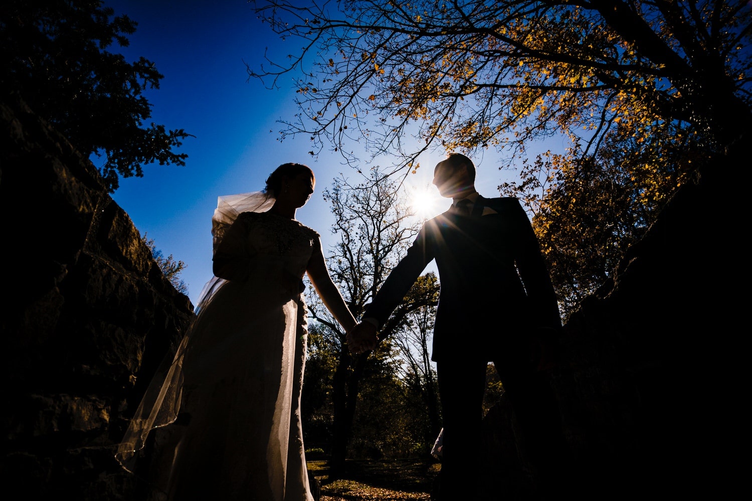 A black and white portrait, silhouette of a bride and groom leaning in to share a kiss in front of a canopy of silhouetted trees on a sunny winter wedding day at The Elms. 
