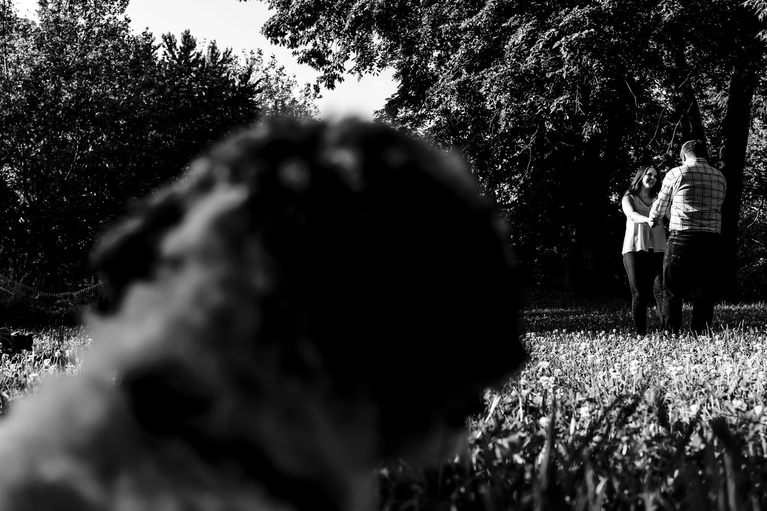 A black and white picture of an engaged couple dancing in the sun as their small dog watches them during their engagement session in Kansas City. 