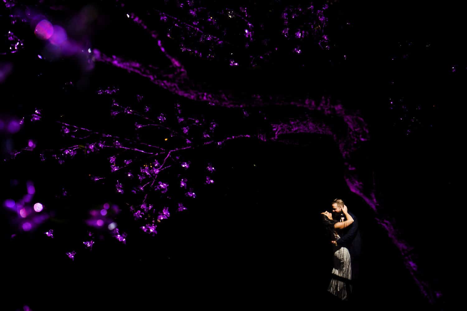 A tree branch covered in crystals and lit up purple curving around a bride and groom on their winter wedding day in Kansas City. 