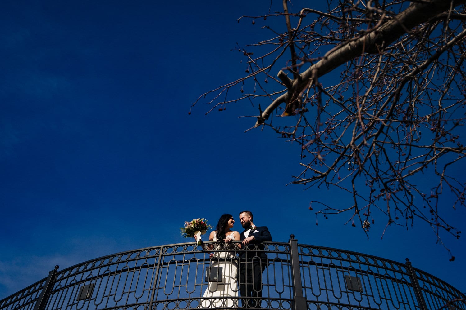 A colorful, wide portrait of a bride and groom standing behind a fence line on a sunny winter wedding day. 