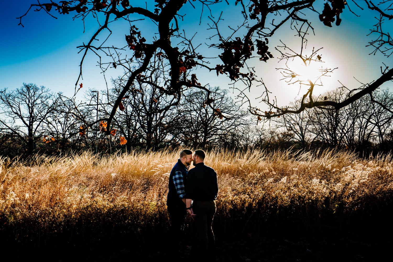 A wide picture of an engaged couple holding hands and snuggling in to each other as they stand in a field of golden wild grass, under a canopy of naked tree branches during a fall engagement session. 