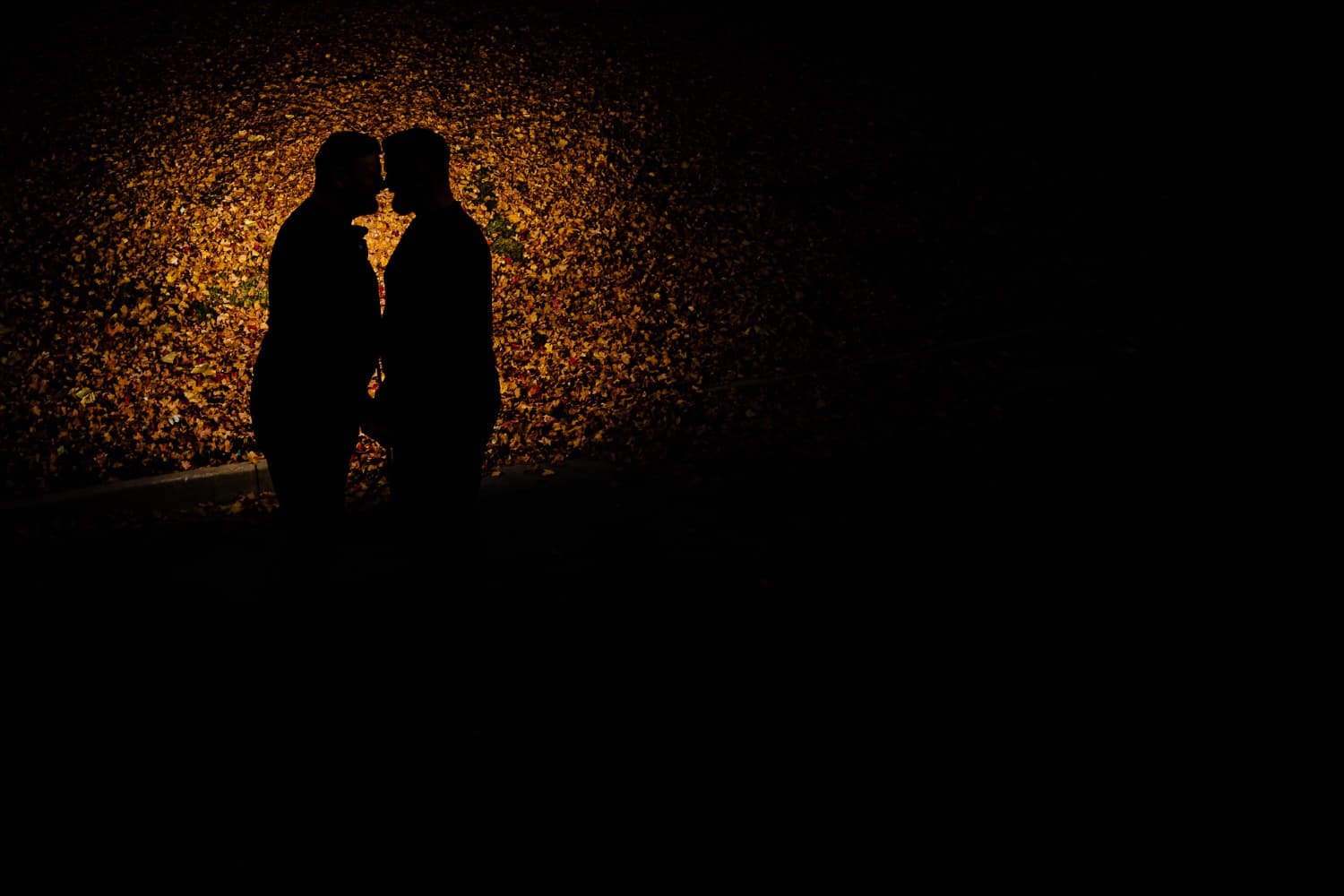 The silhouette of an engaged couple leaning in to share a kiss against a backdrop of bright orange leaves during a fall engagement session. 