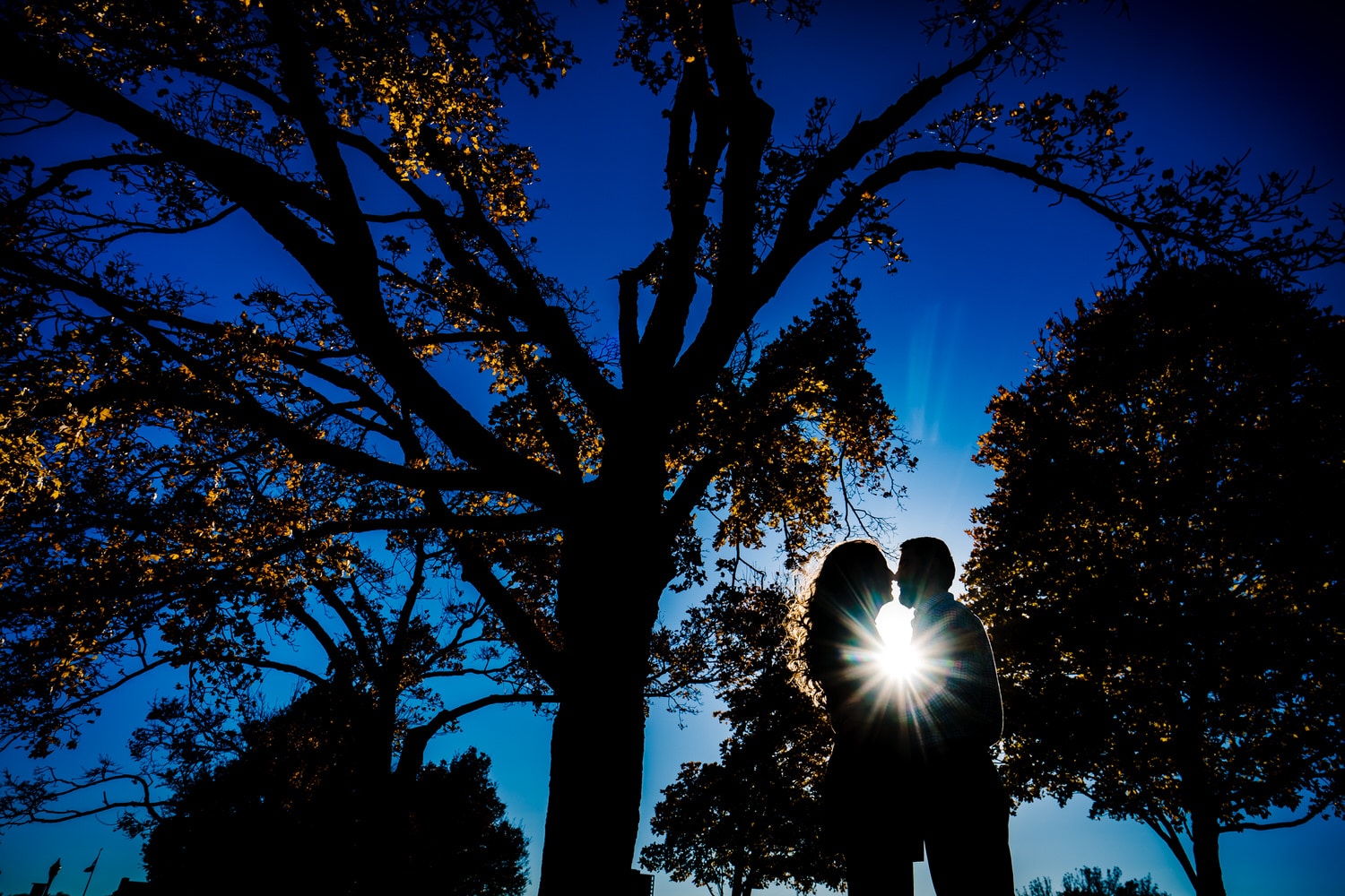 A colorful silhouette of an engaged couple standing underneath a tall tree during a fall engagement session at Liberty Memorial. 