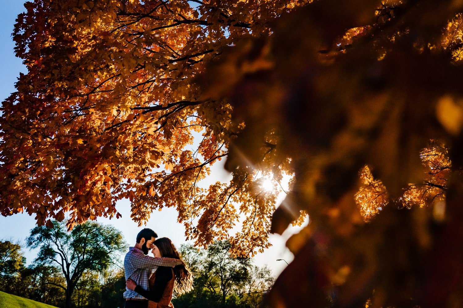 A colorful portrait of an engaged couple wrapped up in an embrace underneath a canopy of bright orange leaves during their colorful downtown KC fall engagement session at Liberty Memorial. 