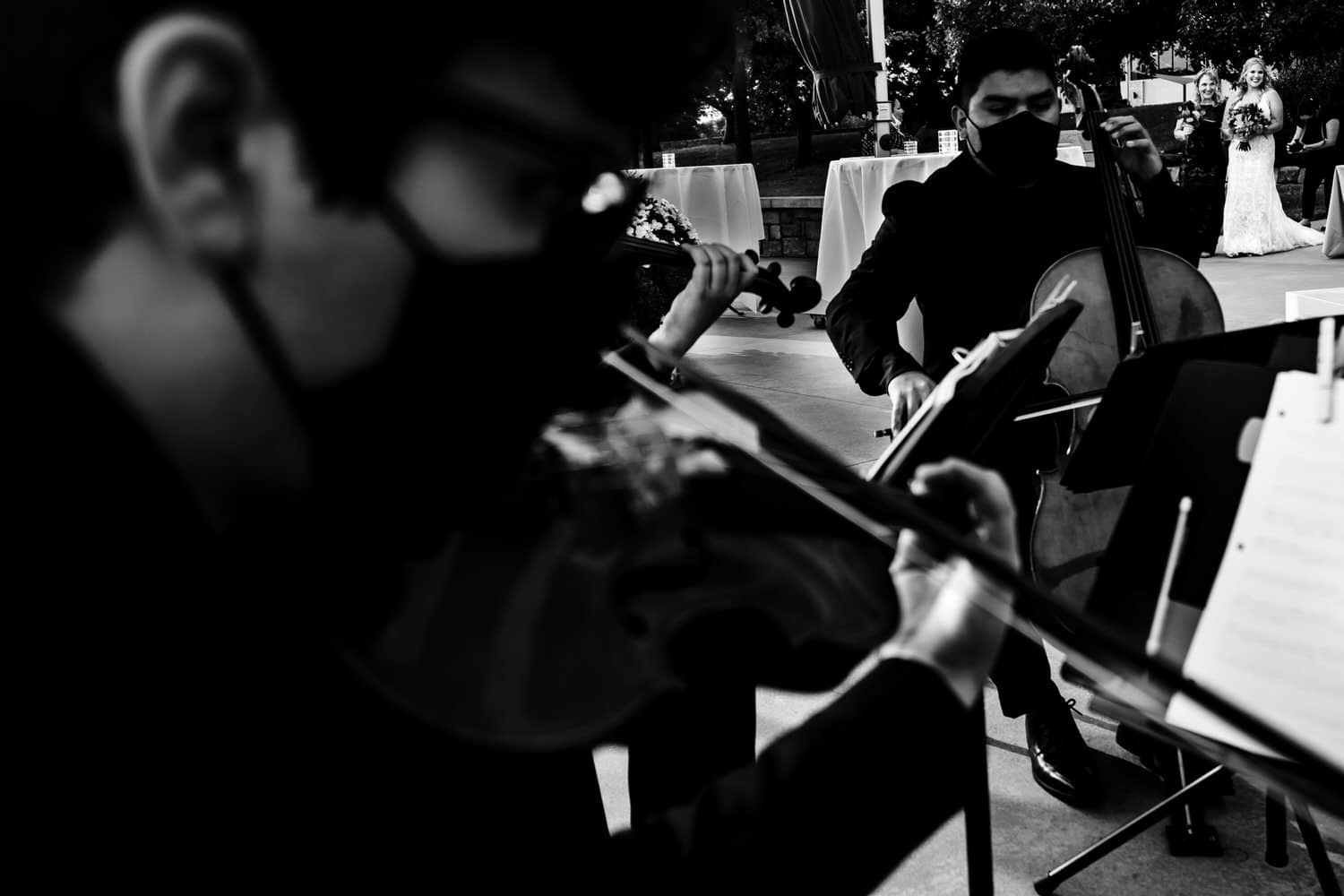 A candid black and white picture of a group of cellists playing music as a bride begins her walk down the aisle behind them. 