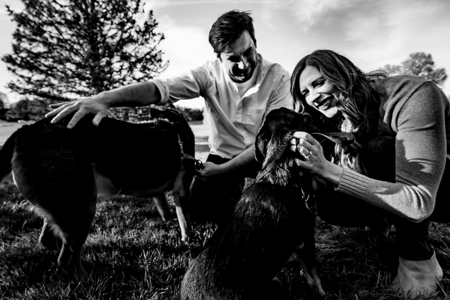 A candid picture of an engaged couple leaning down to pet their dogs during their spring engagement session at Loose Park in Kansas City. 