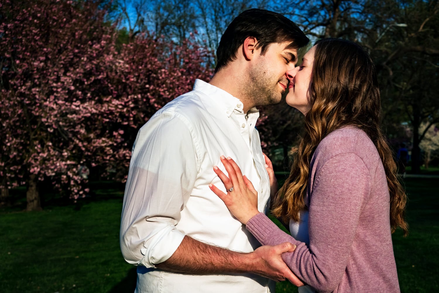 A colorful, candid picture of an engaged couple leaning in to share a kiss in front of a background of cherry blossom trees during their spring engagement session at Loose Park. 