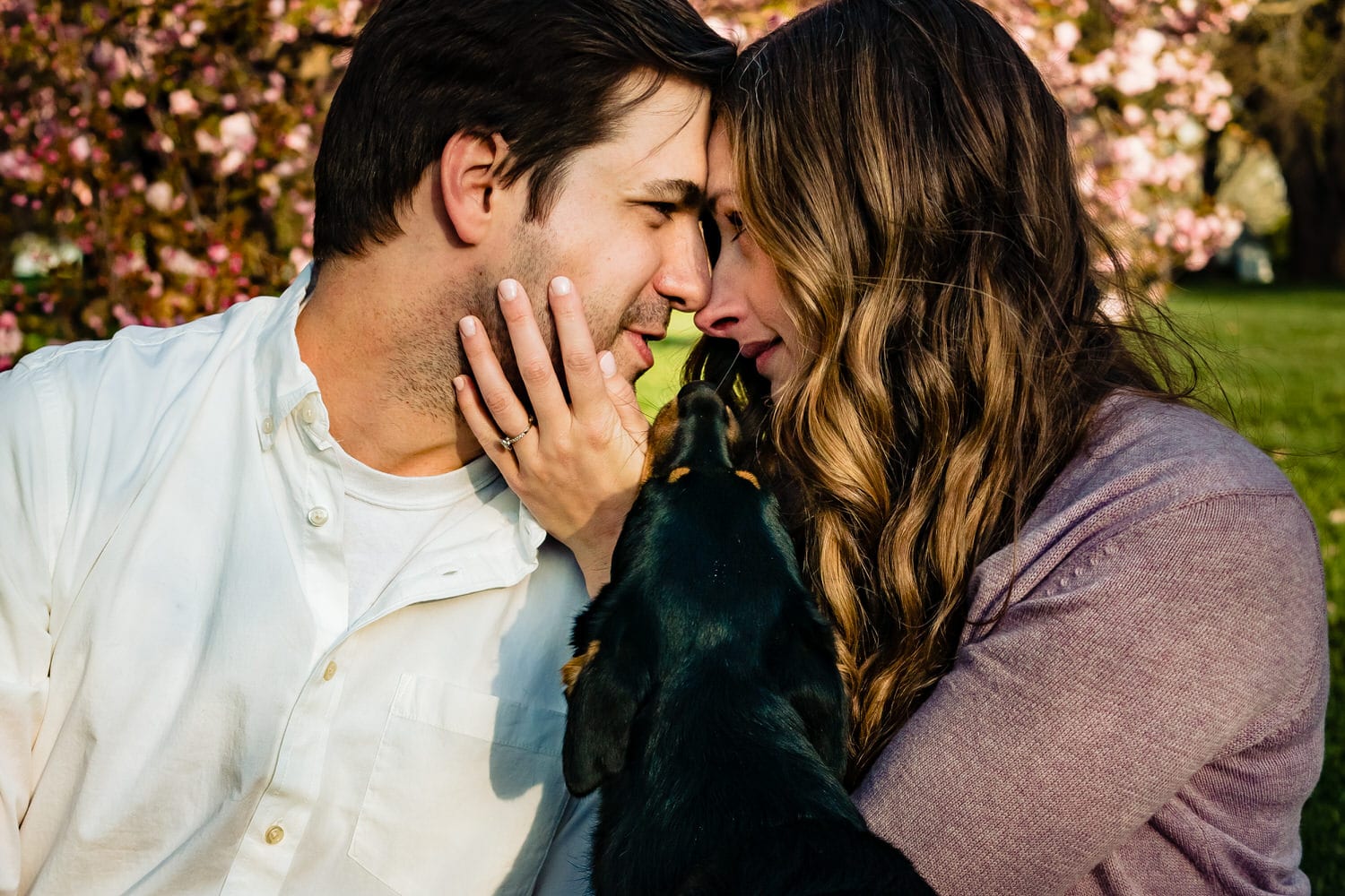 A colorful, candid picture of an engaged couple leaning in to share a kiss during their spring engagement session at Loose Park. 