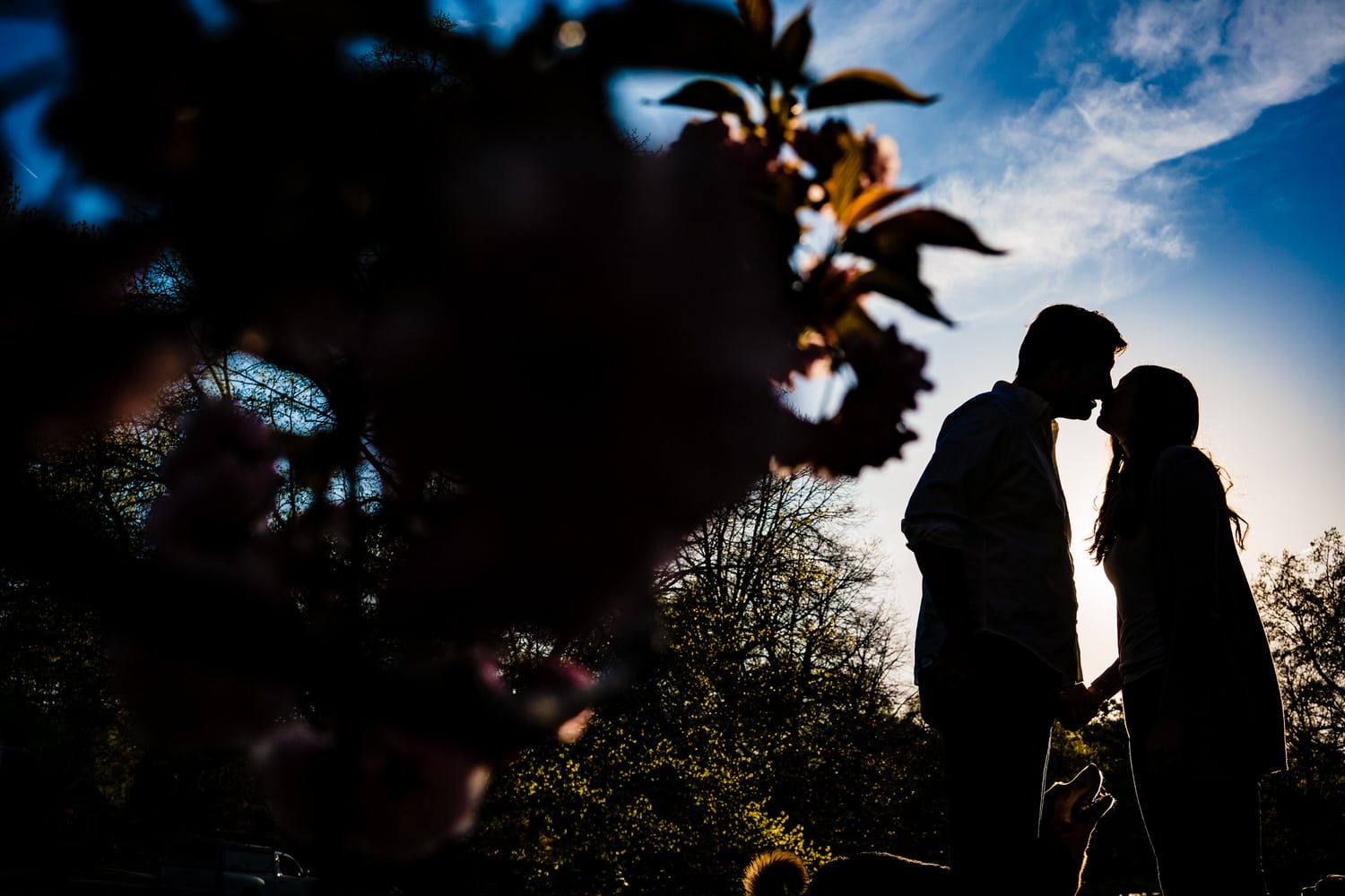 A colorful, semi-silhouetted portrait of an engaged couple leaning in to share a kiss during their spring engagement session at Loose Park. 
