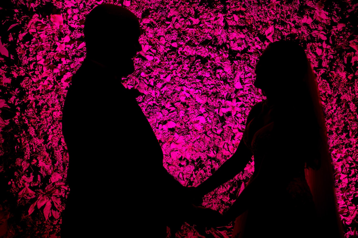 A silhouetted picture of a couple holding hands against a hot pink floral background on their summer wedding day at The Bride and the Bauer in Kansas City. 