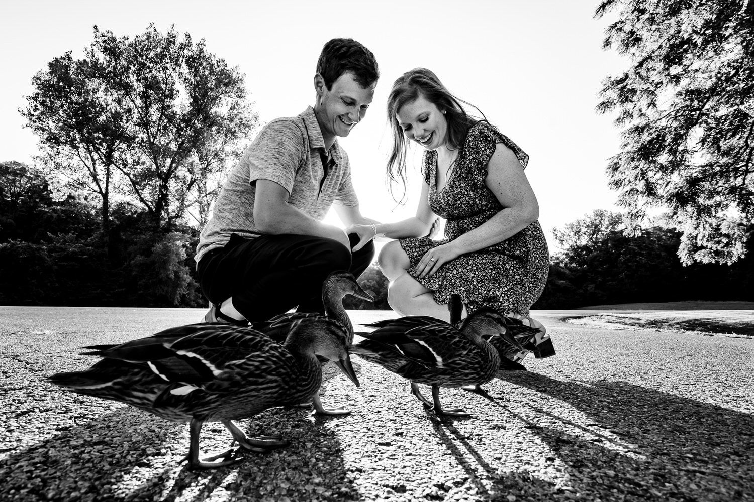 A candid black and white picture of an engaged couple bending down to pet a group of ducks during their summer engagement session in Kansas City. 