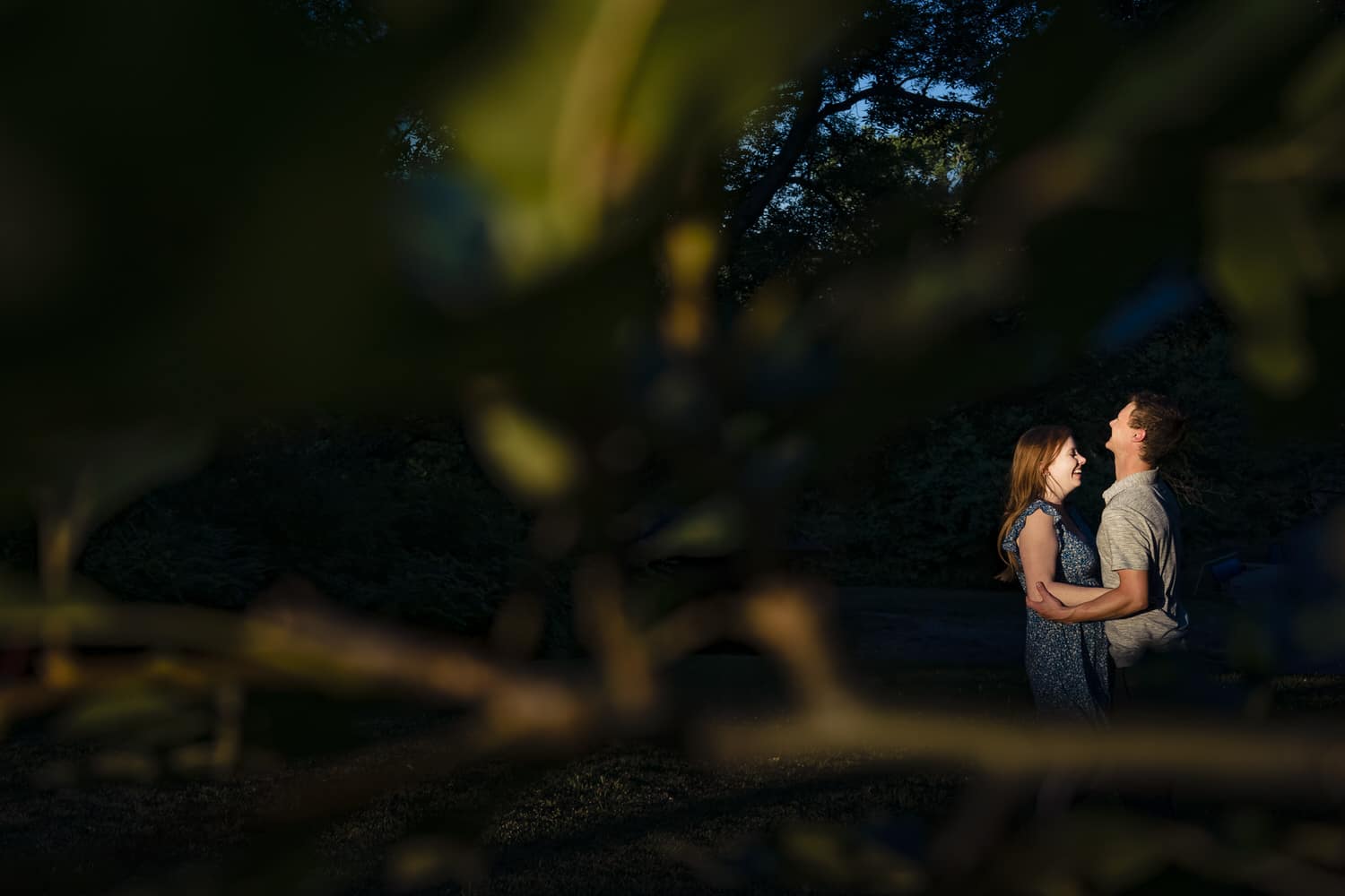 A candid picture taken through a branch of trees of an engaged couple sharing an embrace and laughing together during their engagement session in Kansas City. 