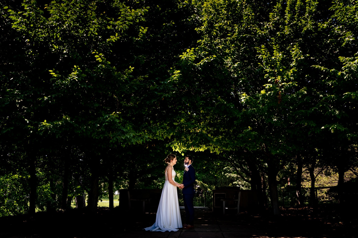 A colorful, silhouetted picture of a bride and groom standing underneath a canopy of trees on a summer wedding day. 