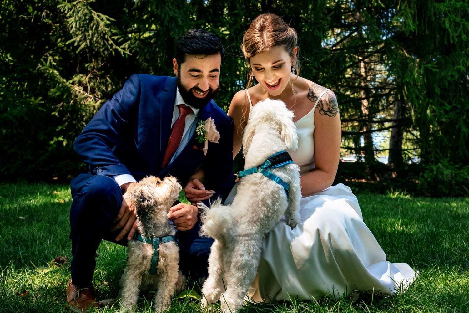 A colorful, candid picture of a bride and groom leaning down to pet their small white and tan dogs on their wedding day. 