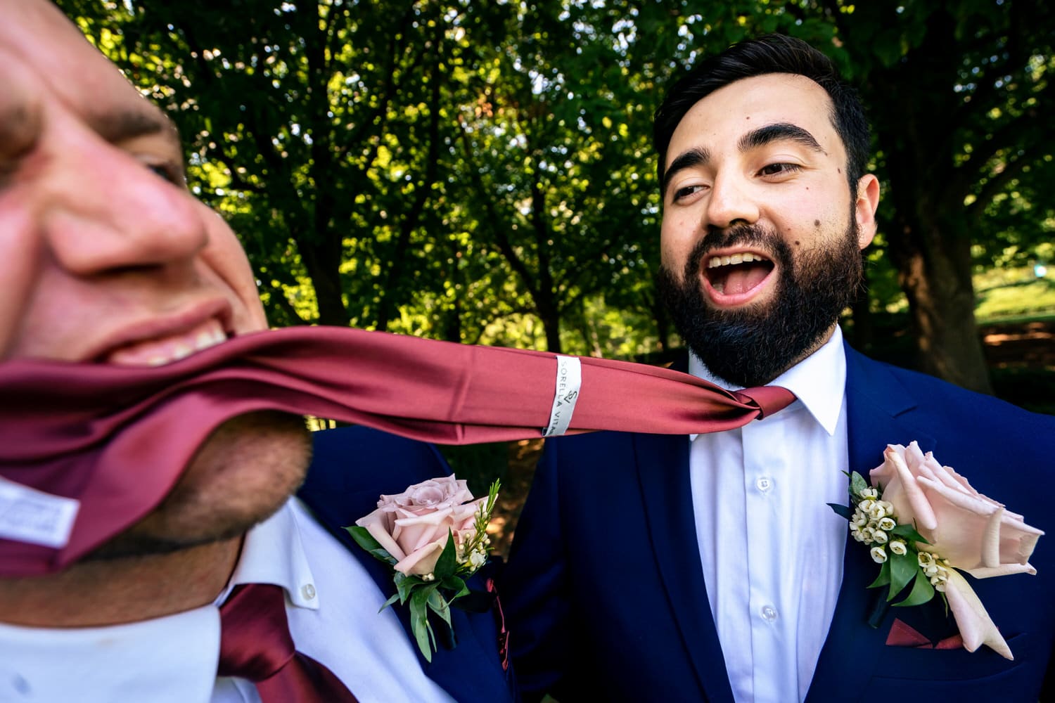 A colorful, candid picture of a groomsman biting a grooms tie. 