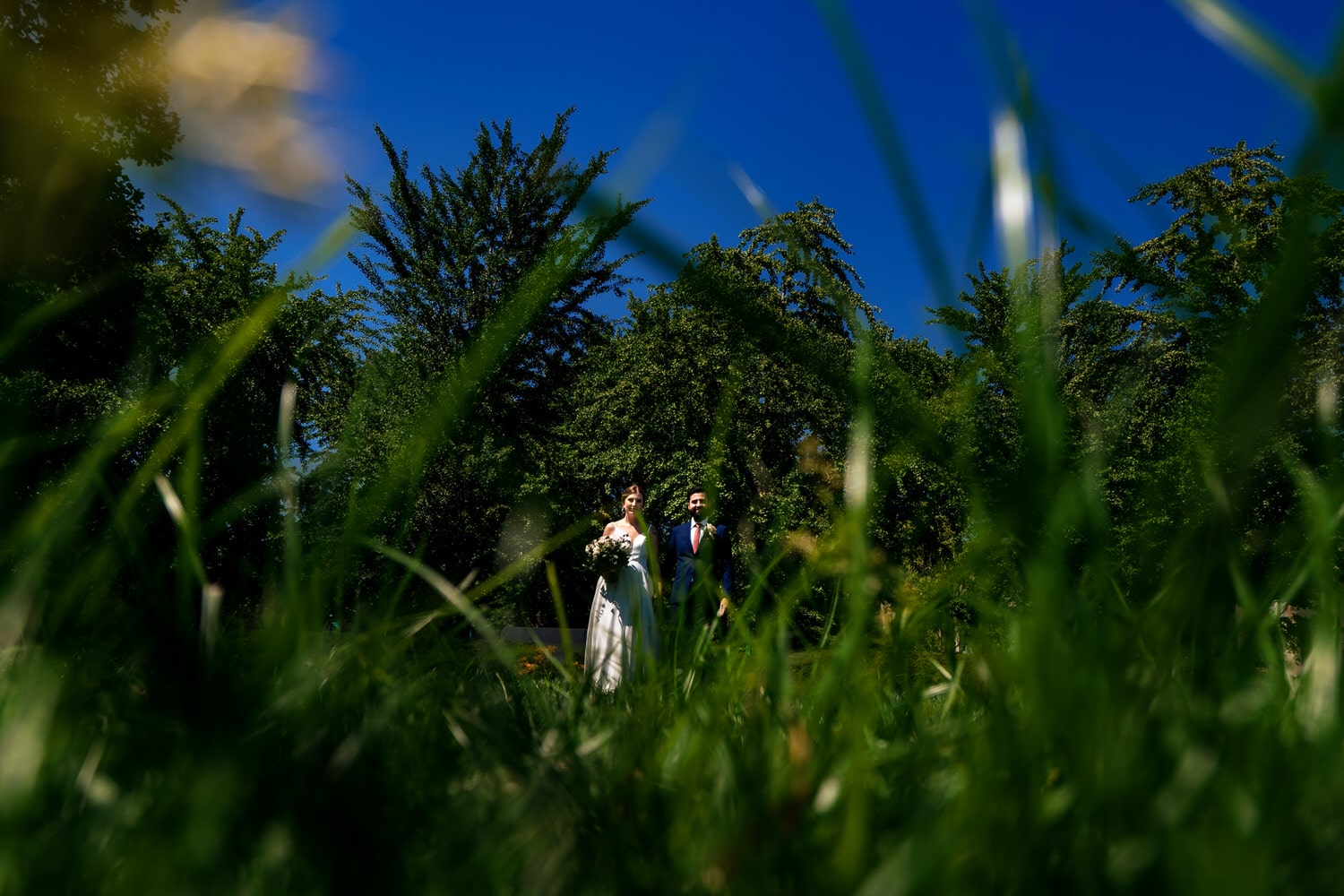 A colorful, candid picture taken through long blades of grass looking up, as a bride and groom hold hands and walk towards the camera on a summer wedding day in Kansas City. 