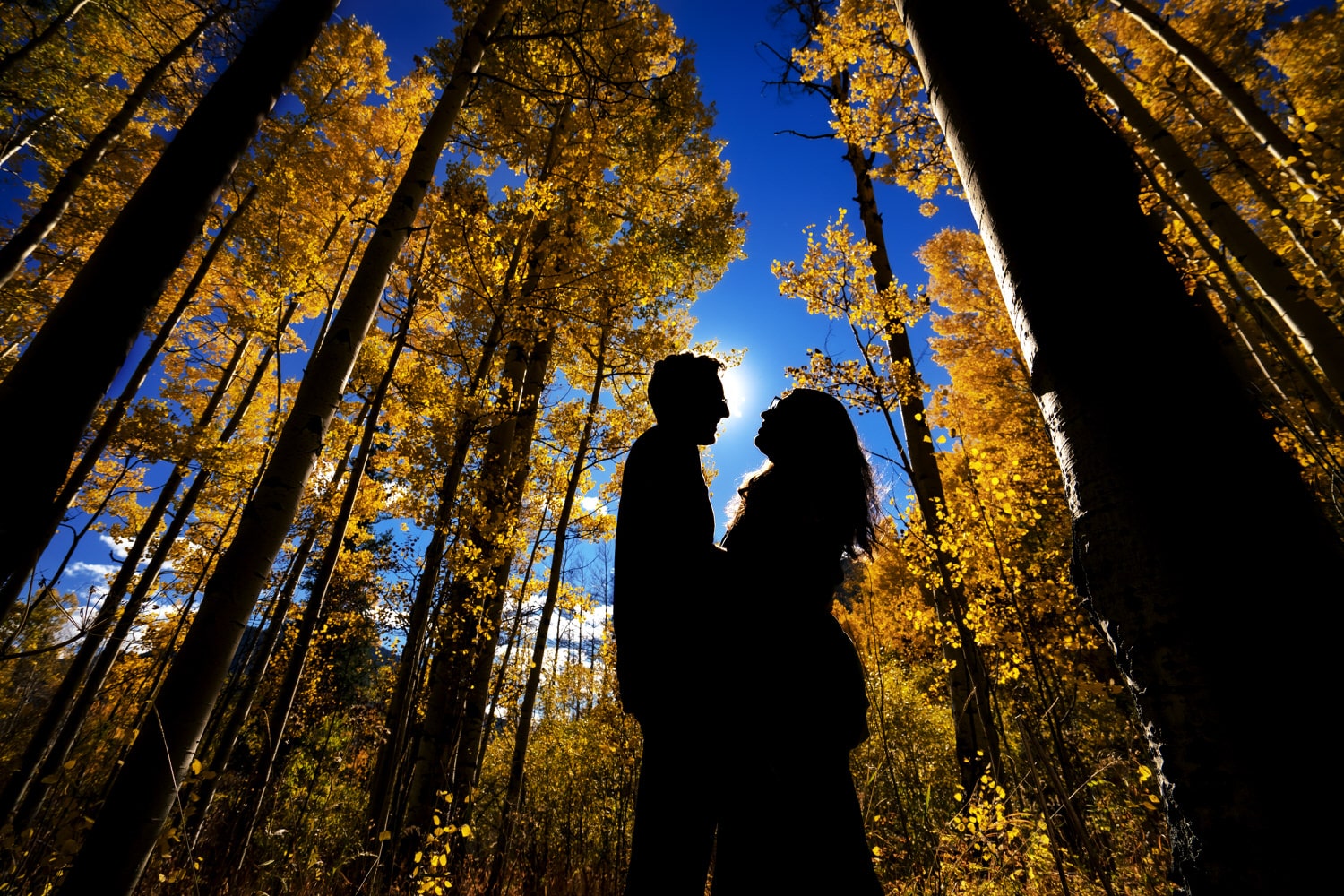 A colorful picture taken from the ground looking up of an engaged couple sharing an embrace, surrounded by colorful yellow aspen trees during their Frisco, Colorado engagement session. 