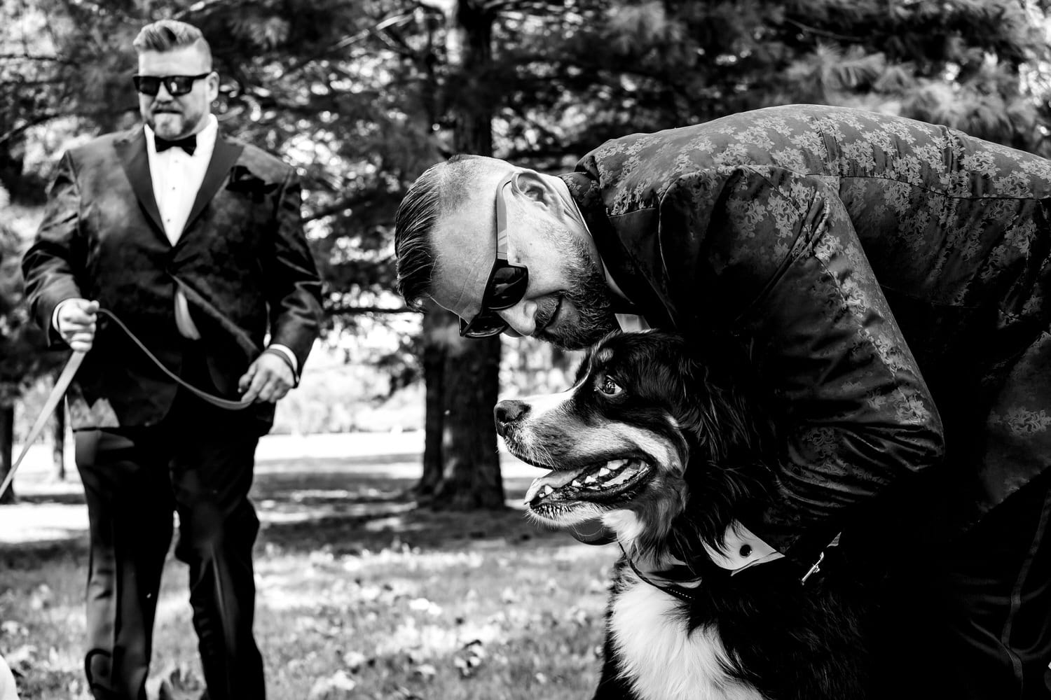 A candid black and white picture of a groom in a patterned tuxedo leaning down to hug his Bernese Mountain Dog on the day of his wedding. 