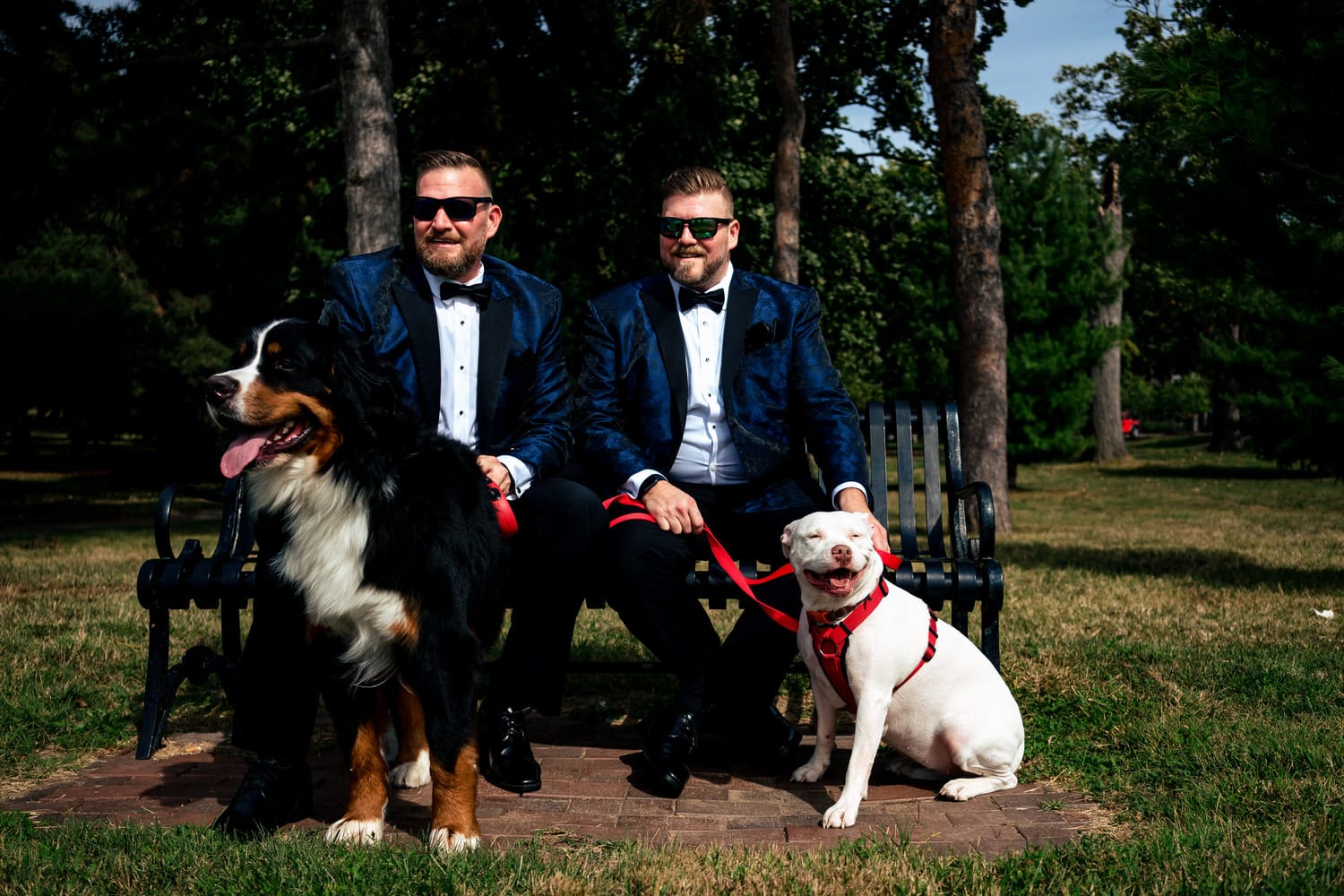 A candid picture of two grooms in navy tuxedos sitting on a park bench, their Bernese Mountain Dog and Pit Bull sitting on the ground in front of them smiling at the camera. 